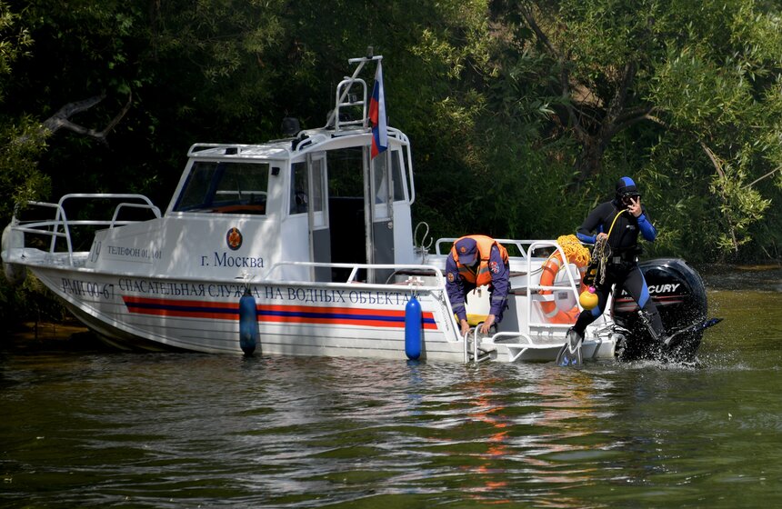Какую помощь оказывают собаки-водолазы при обеспечении безопасности на водных объектах 34 фото