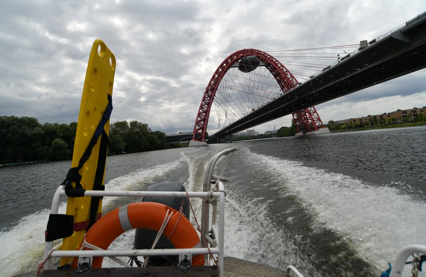 Какую помощь оказывают собаки-водолазы при обеспечении безопасности на водных объектах 41 фото