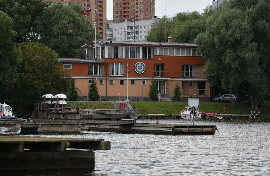 Какую помощь оказывают собаки-водолазы при обеспечении безопасности на водных объектах 44 фото