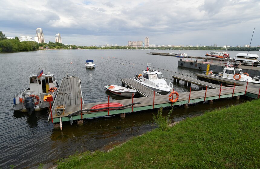Какую помощь оказывают собаки-водолазы при обеспечении безопасности на водных объектах 45 фото