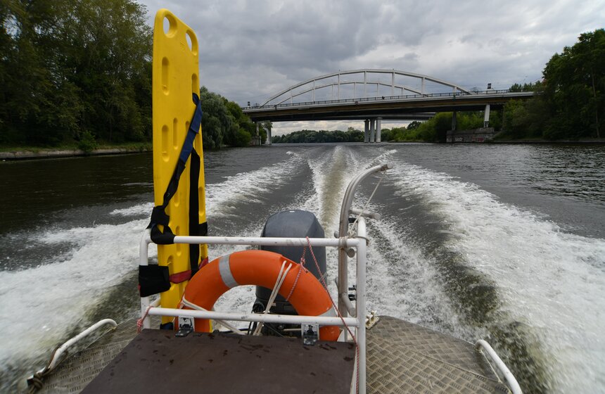 Какую помощь оказывают собаки-водолазы при обеспечении безопасности на водных объектах 43 фото