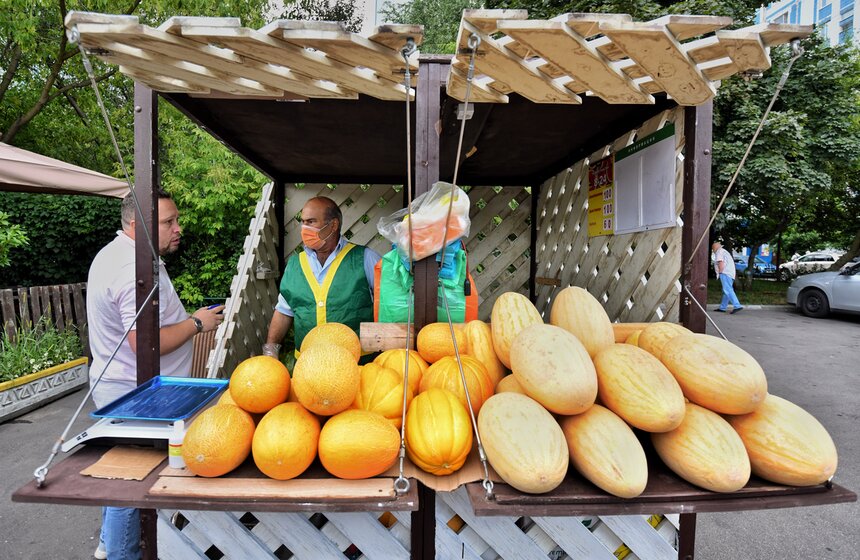 В Москве заработали 250 бахчевых развалов 6 фото