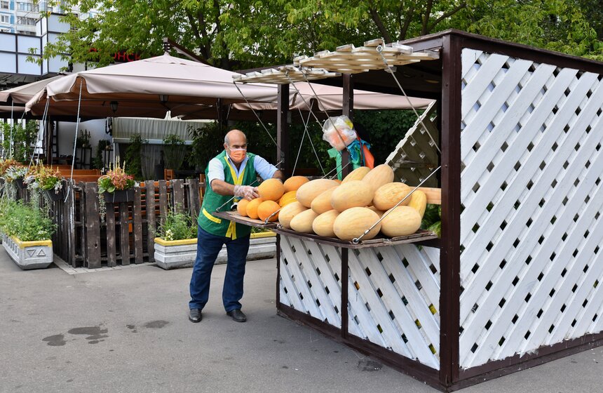 В Москве заработали 250 бахчевых развалов 8 фото