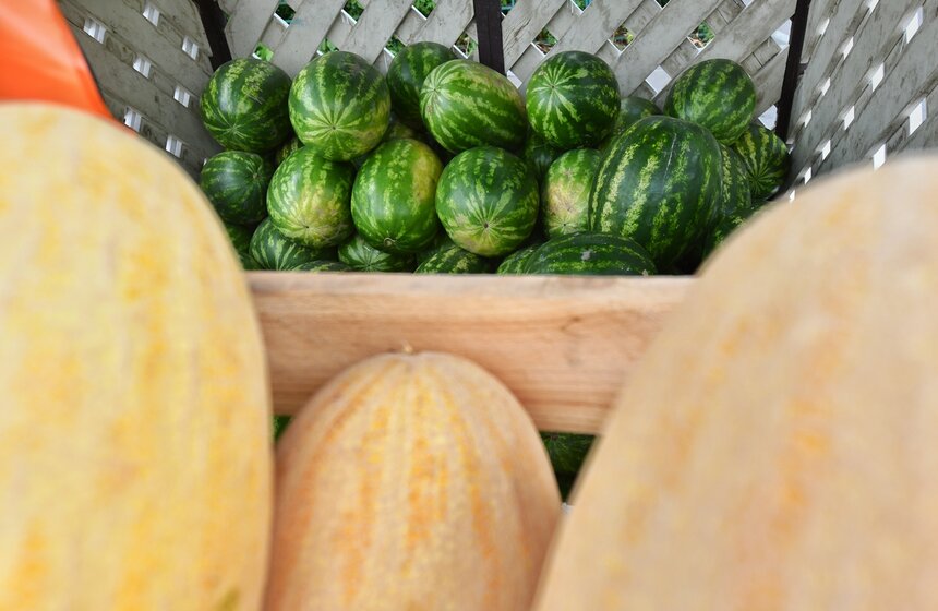 В Москве заработали 250 бахчевых развалов 9 фото