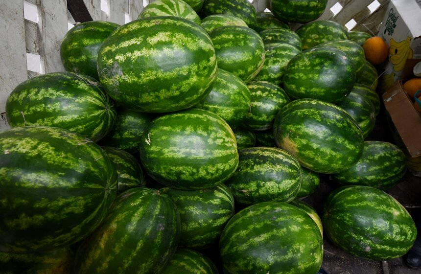 В Москве заработали 250 бахчевых развалов 13 фото