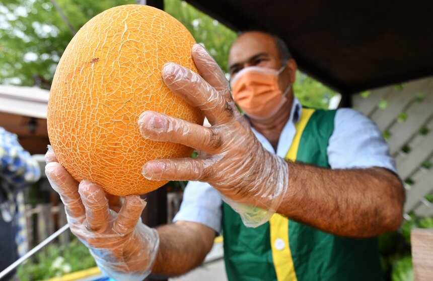 В Москве заработали 250 бахчевых развалов 12 фото