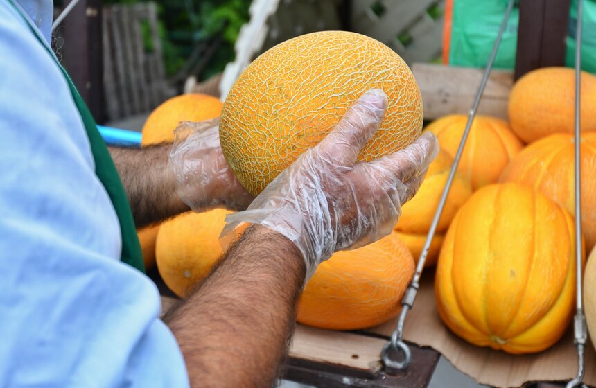 В Москве заработали 250 бахчевых развалов 11 фото