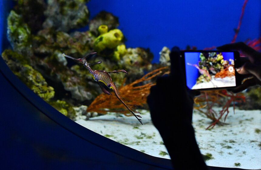 "Москвариум" на ВДНХ подготовил программу в честь своего 6-летия 15 фото