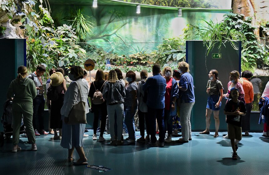 "Москвариум" на ВДНХ подготовил программу в честь своего 6-летия 10 фото