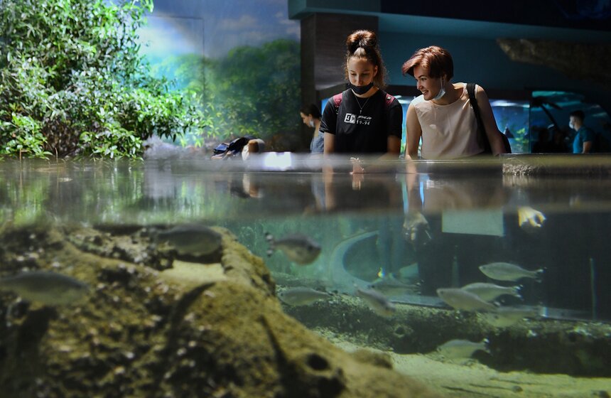 "Москвариум" на ВДНХ подготовил программу в честь своего 6-летия 17 фото