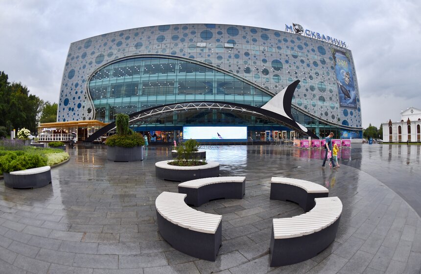 "Москвариум" на ВДНХ подготовил программу в честь своего 6-летия 22 фото