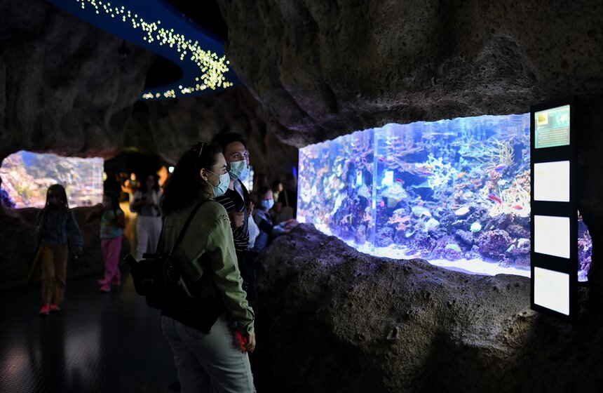 "Москвариум" на ВДНХ подготовил программу в честь своего 6-летия 19 фото