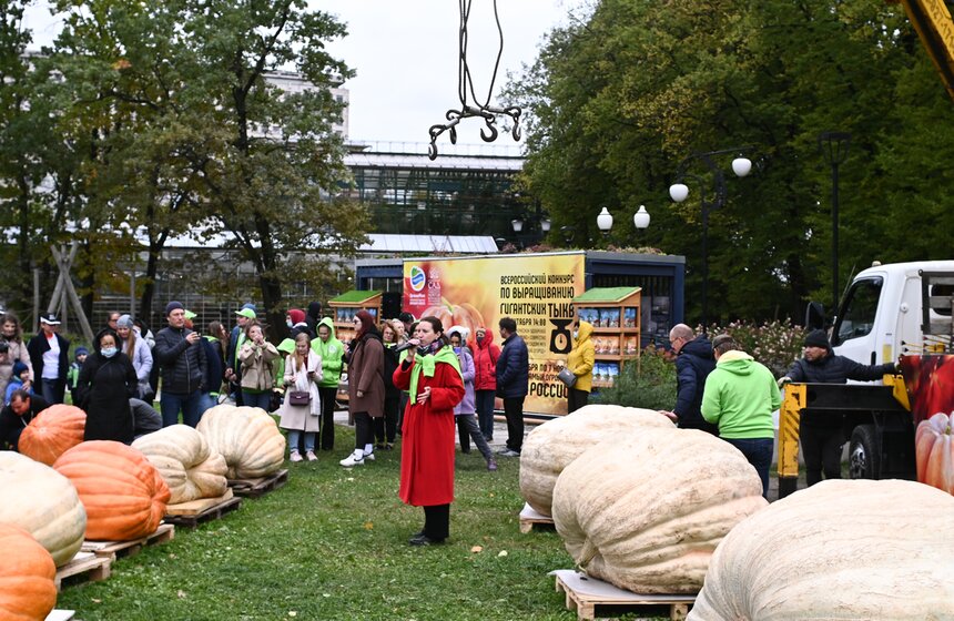 Самую большую тыкву представят на выставке в "Аптекарском огороде" 3 фото
