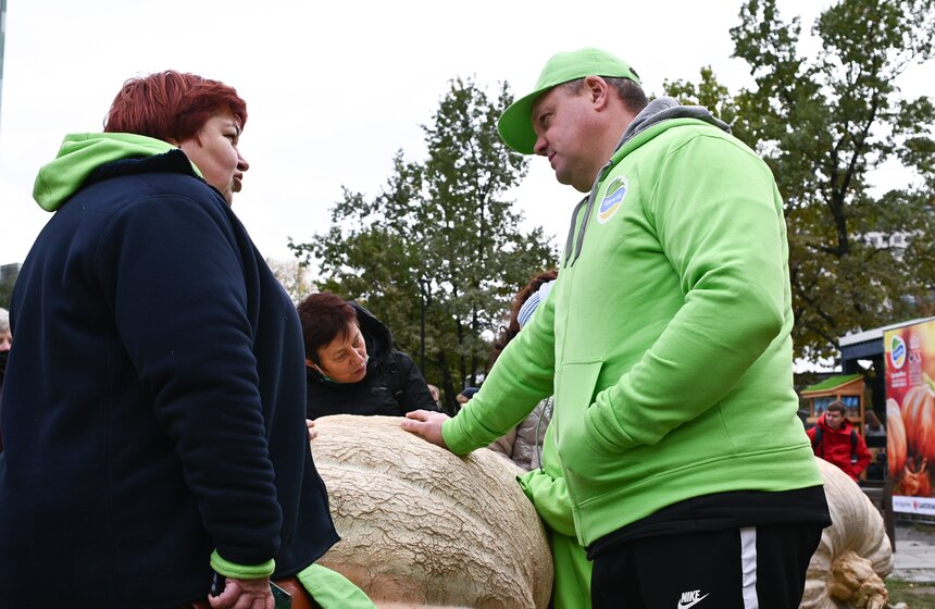 Самую большую тыкву представят на выставке в "Аптекарском огороде" 17 фото