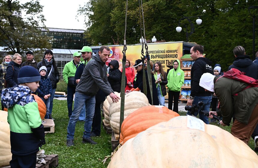 Самую большую тыкву представят на выставке в "Аптекарском огороде" 8 фото