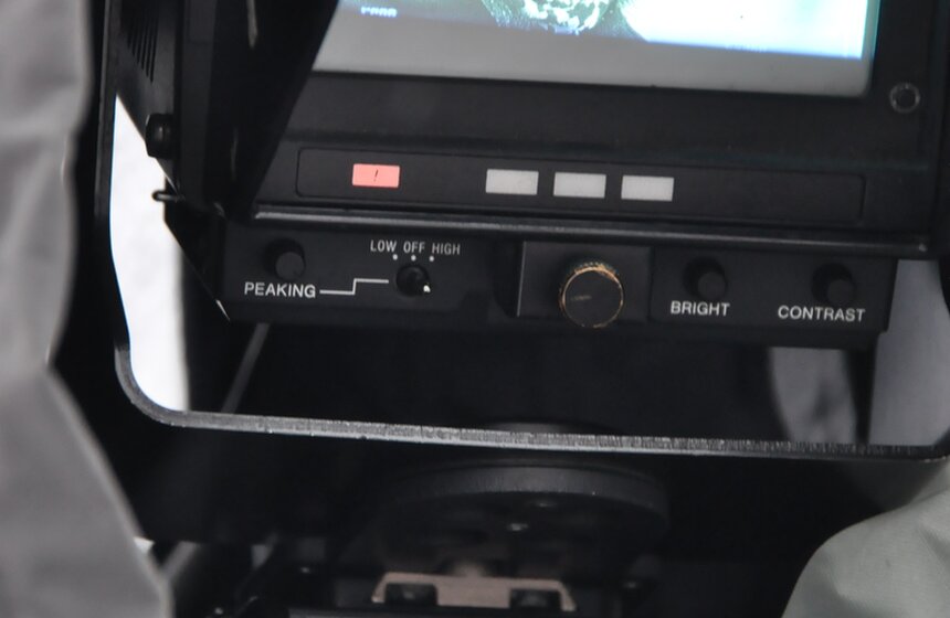 "Зиму в парке" посетили четыре новых гостя 6 фото