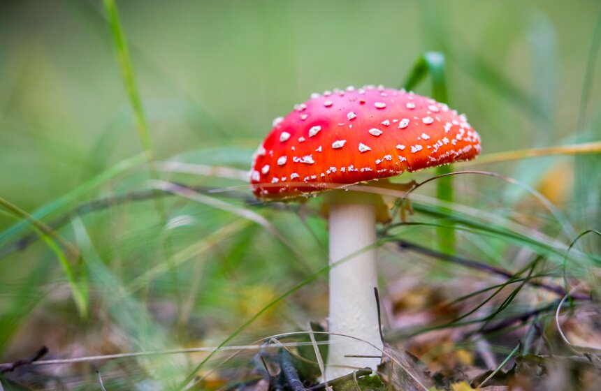 Золотая осень в Центральной России продлится до конца рабочей недели 18 фото