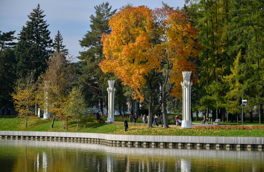 Золотая осень в Центральной России продлится до конца рабочей недели 9 фото