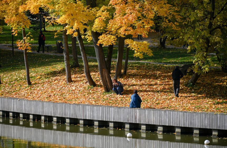Золотая осень в Центральной России продлится до конца рабочей недели 15 фото