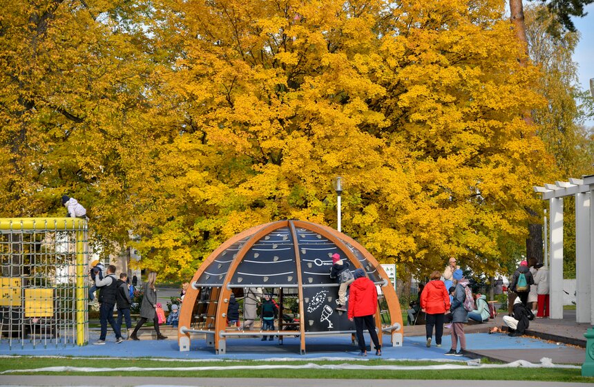 Золотая осень в Центральной России продлится до конца рабочей недели 39 фото