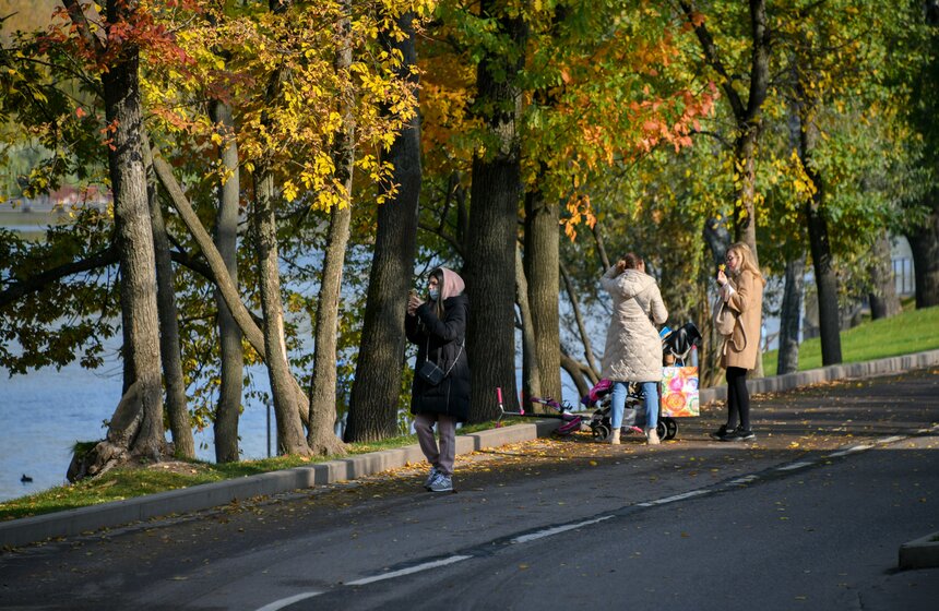 Золотая осень в Центральной России продлится до конца рабочей недели 7 фото