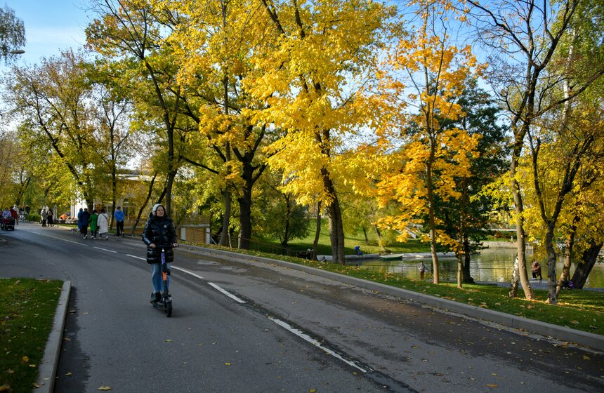 Золотая осень в Центральной России продлится до конца рабочей недели 3 фото