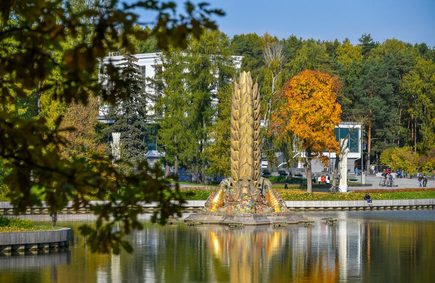 Золотая осень в Центральной России продлится до конца рабочей недели 13 фото