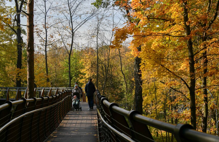 Золотая осень в Центральной России продлится до конца рабочей недели 27 фото