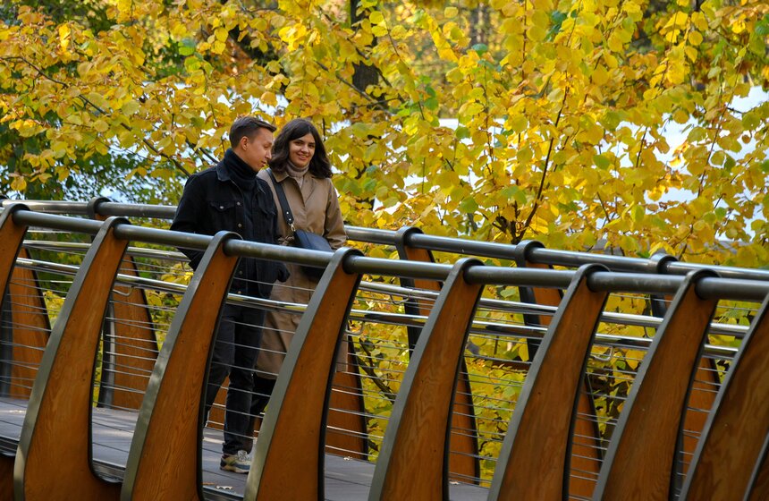 Золотая осень в Центральной России продлится до конца рабочей недели 25 фото