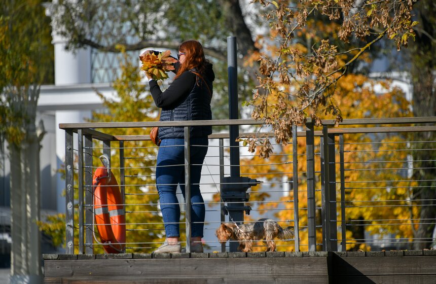 Золотая осень в Центральной России продлится до конца рабочей недели 11 фото