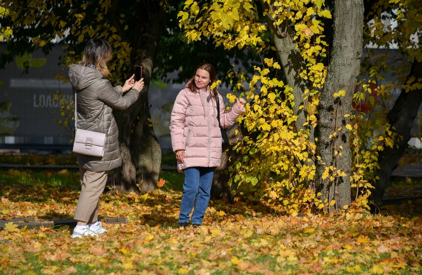 Золотая осень в Центральной России продлится до конца рабочей недели 1 фото