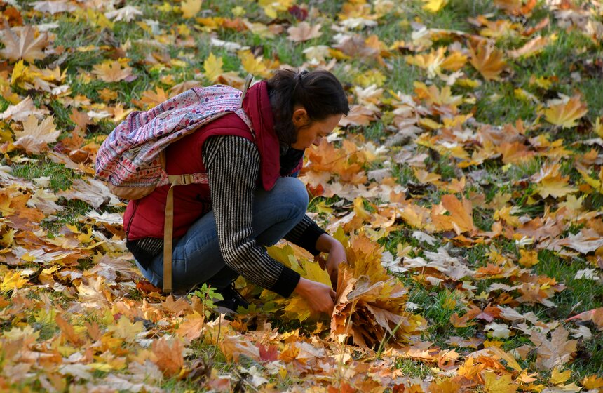 Золотая осень в Центральной России продлится до конца рабочей недели 19 фото