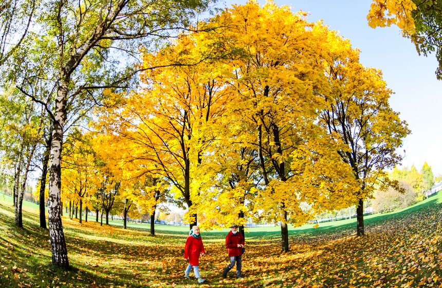 Золотая осень в Центральной России продлится до конца рабочей недели 30 фото