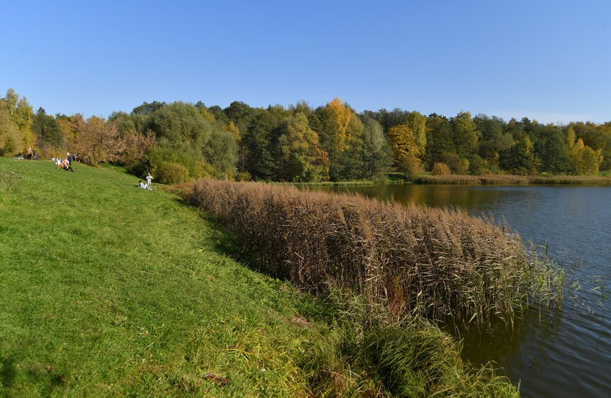 В столичных парках проходит волонтерская акция "ПаркАрт" 6 фото