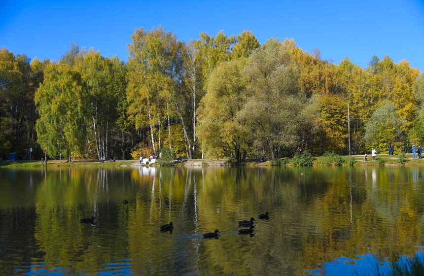 В столичных парках проходит волонтерская акция "ПаркАрт" 18 фото