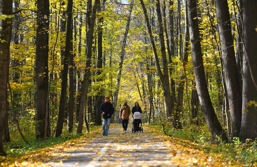 В столичных парках проходит волонтерская акция "ПаркАрт" 13 фото