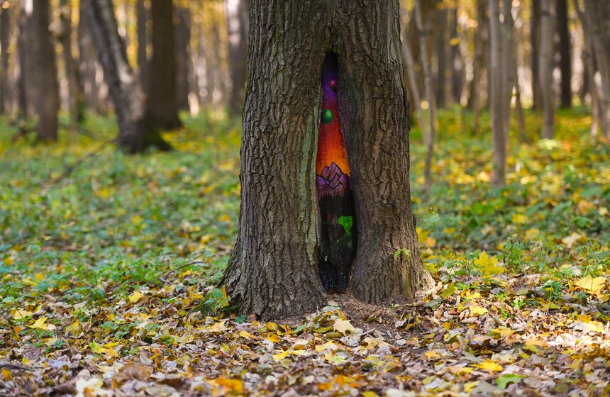 В столичных парках проходит волонтерская акция "ПаркАрт" 14 фото