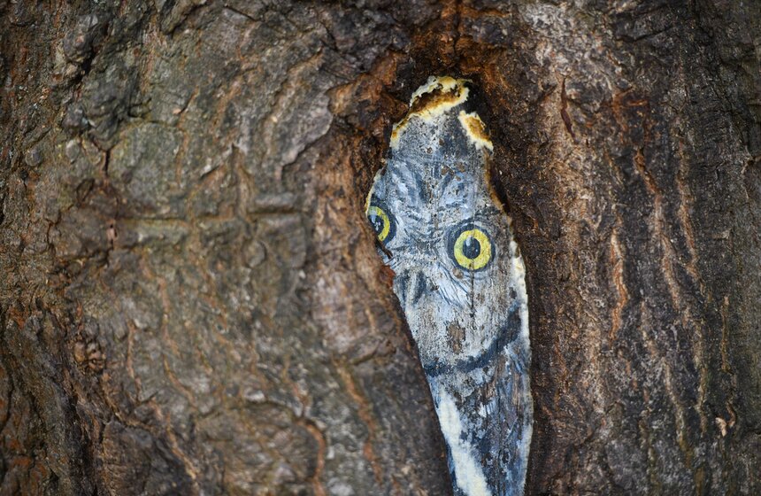 В столичных парках проходит волонтерская акция "ПаркАрт" 10 фото