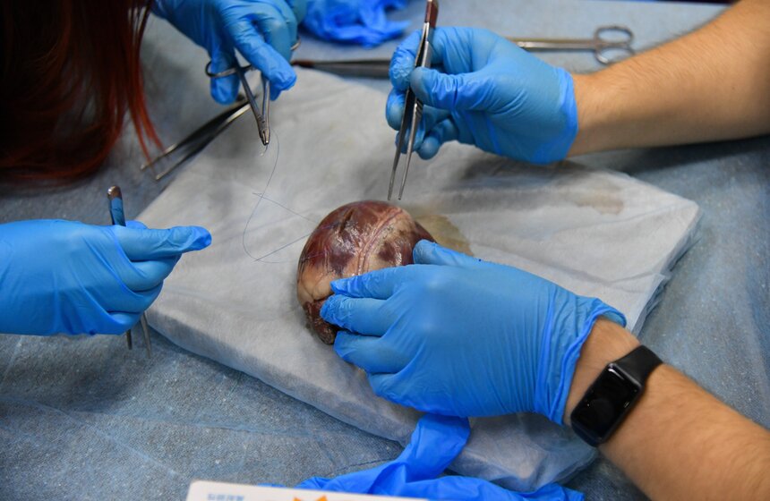 В Москве прошел фестиваль NAUKA 0+ 15 фото