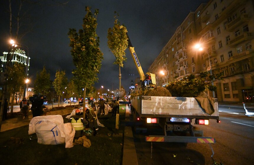 В столице начали высадку деревьев на улицах и вылетных магистралях 18 фото