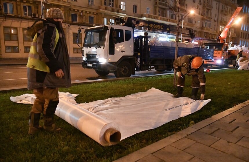 В столице начали высадку деревьев на улицах и вылетных магистралях 6 фото