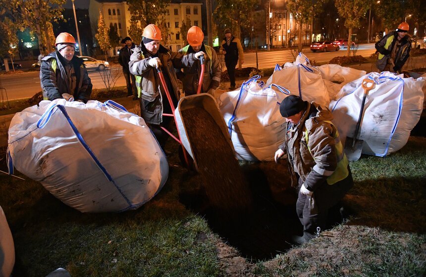 В столице начали высадку деревьев на улицах и вылетных магистралях 13 фото