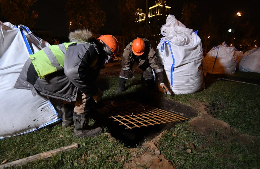 В столице начали высадку деревьев на улицах и вылетных магистралях 11 фото