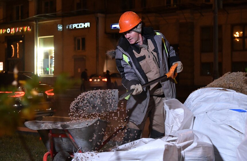 В столице начали высадку деревьев на улицах и вылетных магистралях 12 фото