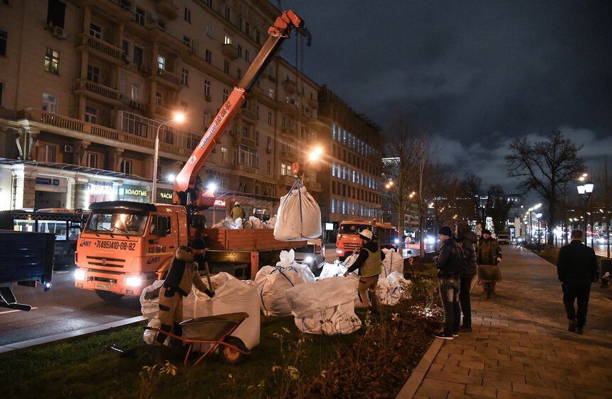 В столице начали высадку деревьев на улицах и вылетных магистралях 1 фото