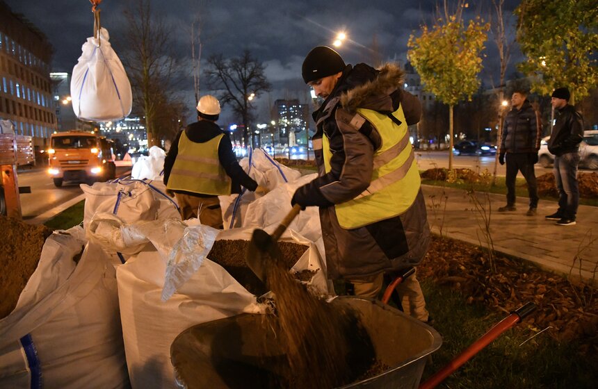В столице начали высадку деревьев на улицах и вылетных магистралях 5 фото