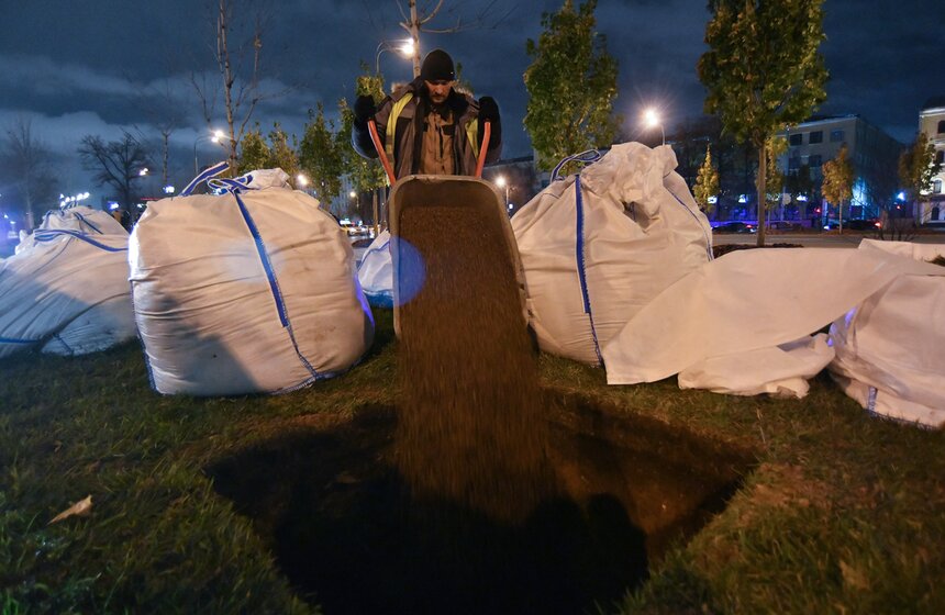 В столице начали высадку деревьев на улицах и вылетных магистралях 8 фото