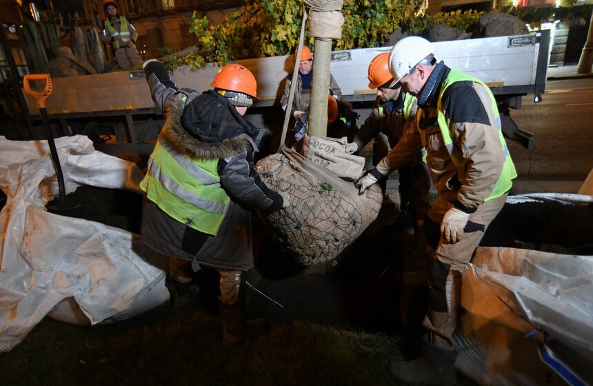 В столице начали высадку деревьев на улицах и вылетных магистралях 15 фото