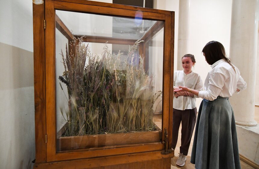 Музей имени Алексея Щусева представил выставку "Пятая волна" 22 фото