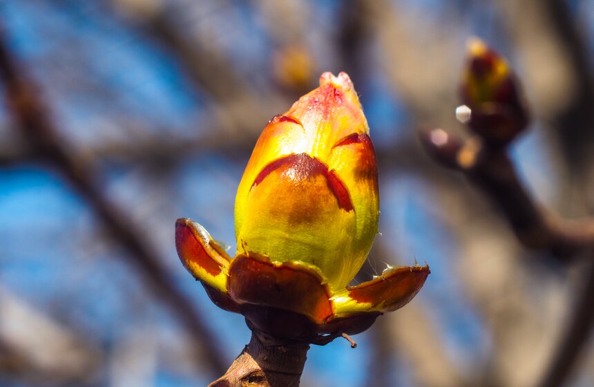 Аномально теплая погода продержится в Москве до выходных 23 фото